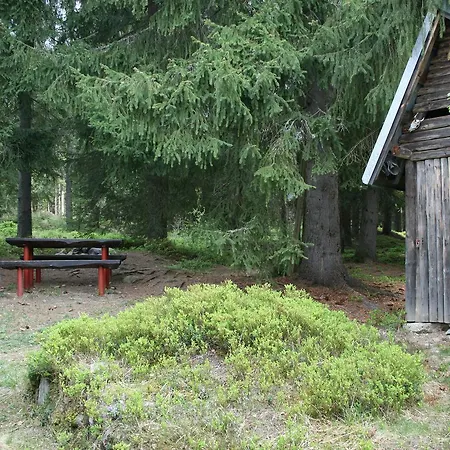 Cucka פריבילינה