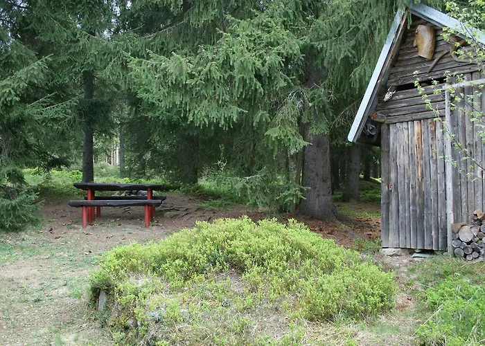 Cucka פריבילינה